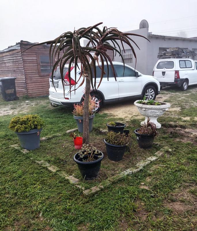 2 Bedroom Property for Sale in Peerless Park Western Cape